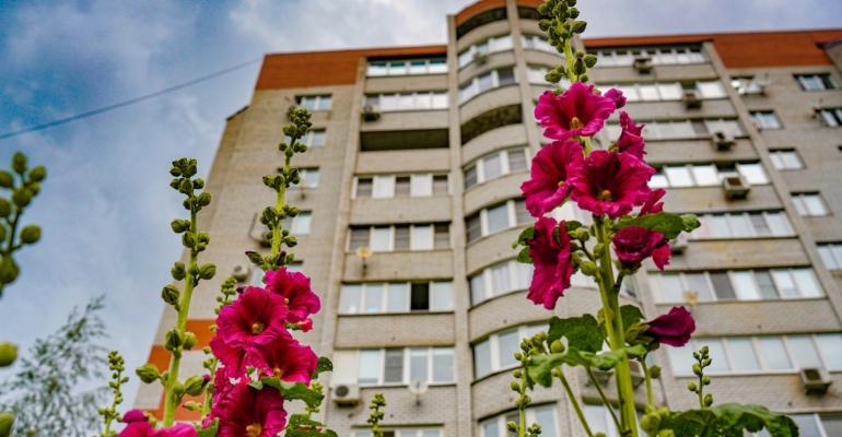 Чёрная магия за 50 ₽: 9 способов применить дома активированный уголь