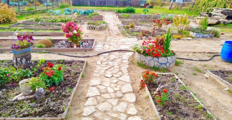 Зола против урожая: какие растения могут погибнуть от популярного удобрения