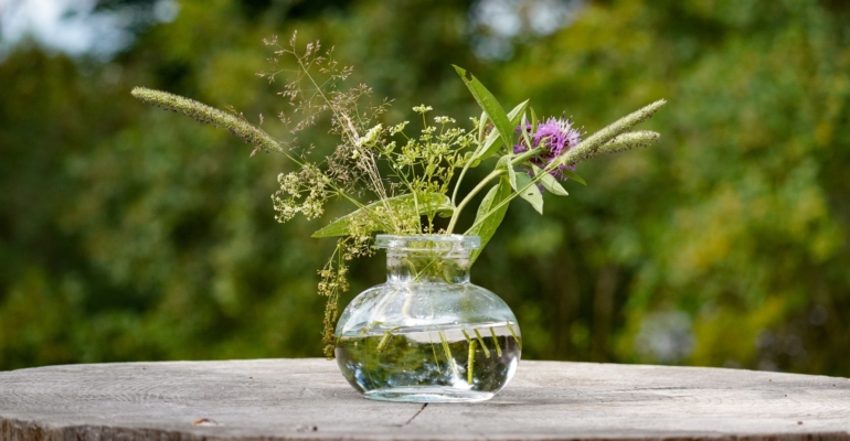 Капризы лета, спокойствие зимы: сезон как фактор формирования характера