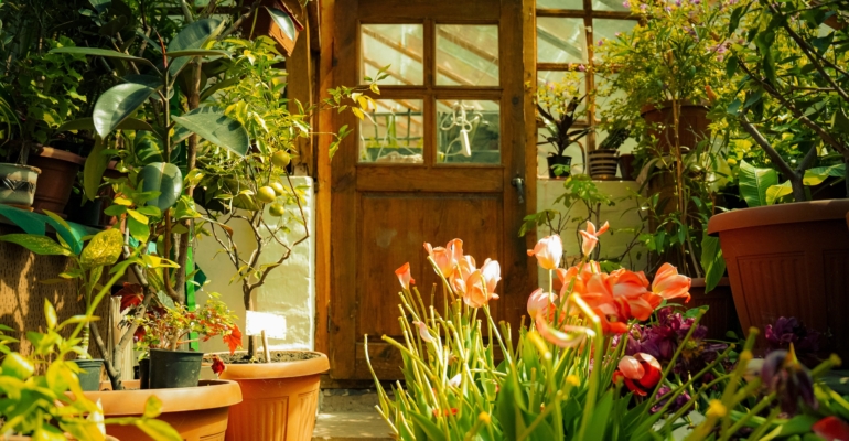 Гороскоп на 2026 год Огненной Лошади — знак зодиака Телец: все аспекты жизни