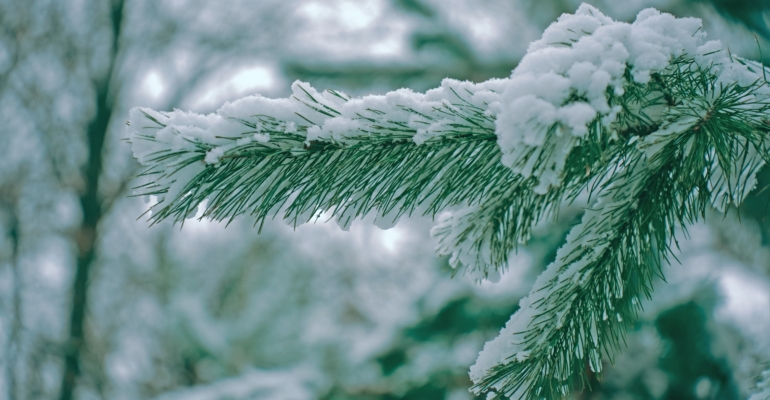 Слабость, головная боль, раздражительность: проверьте календарь магнитных бурь на декабрь