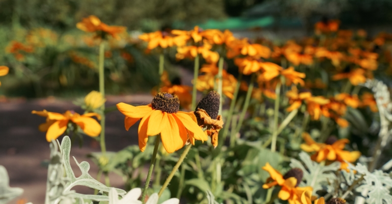 Астрологический прогноз на 5 декабря: рекомендации для всех знаков зодиака