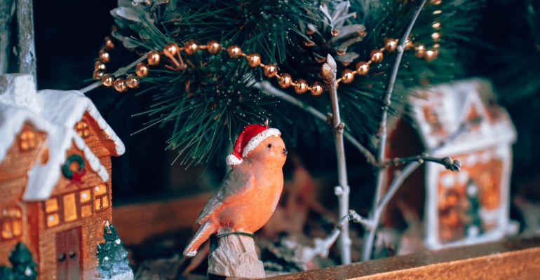 Предновогодняя уборка: 5 категорий вещей, от которых пора избавиться перед праздником