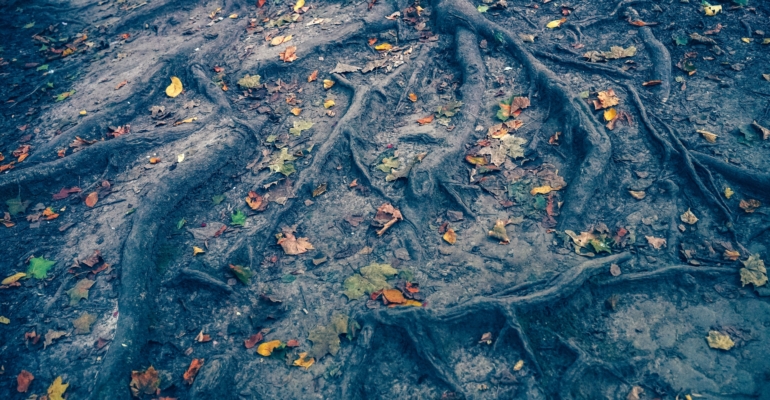 Таро-прогноз на 5 декабря: карты дня для всех знаков зодиака