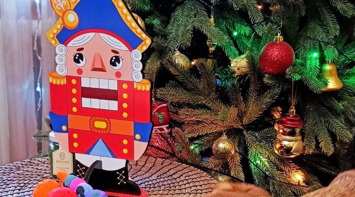 Ароматический щит: как защитить праздничную атмосферу в доме от запахов кухни