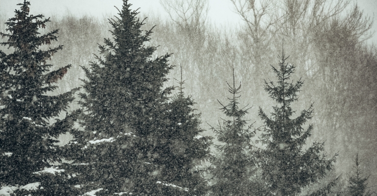 Праздники 6 декабря гражданские, церковные, именинники и не только