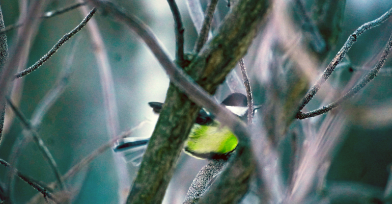 Астропрогноз на сегодня: звезды дают зеленый свет деловым встречам и новым партнерствам