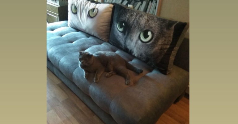 7 предметов мебели для уюта: советы дизайнеров по обустройству