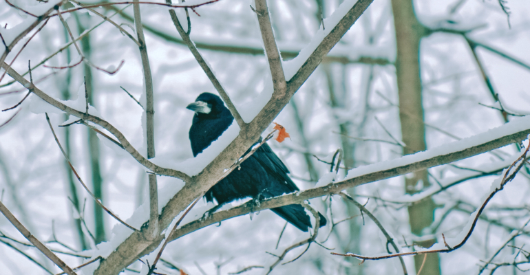 Лунный гороскоп на 7 декабря 2025: характеристика дня, лунные сутки и рекомендации