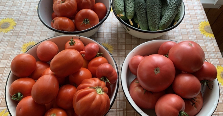 Кулинарное правило, которое сохранит свежесть огурцов в салате