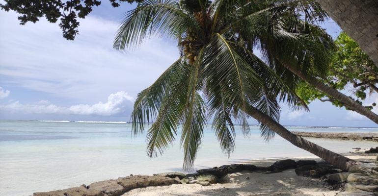 Занзибар — не мечта, а реальность: новые блочные туры уже раскупают