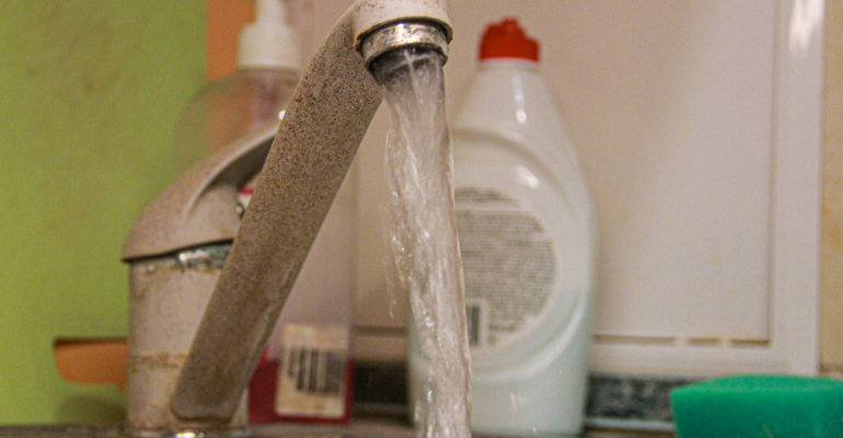 Почему гниют фиалки: главная ошибка новичков при поливе