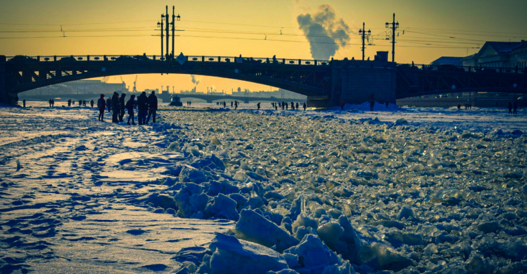 Спутники обнаружили новое крупное лежбище моржей на Шпицбергене